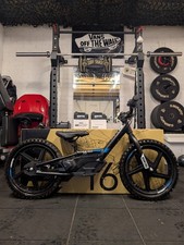 Bicicletta elettrica per