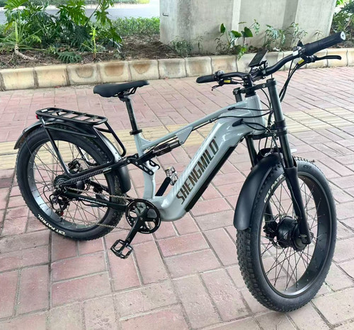 Bicicletta elettrica usata