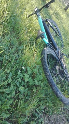 Bici elettrica usata - elettrica,