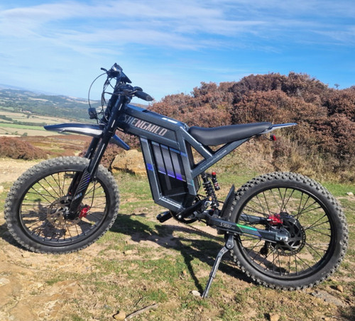 Bicicletta elettrica usata